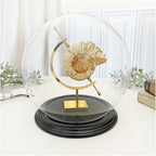 Plymor 7.5" x 8.5" Glass Display Dome Globe Cloche (Black Wood Veneer Base), Pack of 2 - Image 2