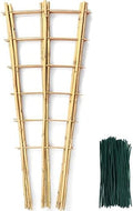 SWANGSA 6 Pack 3Ft Bamboo Trellis for Climbing Plants,35.5 Inch Fan-Shaped Bamboo Plant Trellis with 100pcs Twist Ties for Outdoor and Indoor Potted Plants Garden Stakes by SWANGSA