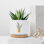 DreamAutumn Plants Ceramic Flower Pots Set of 3,Gardening Plant Pot with Drainage Holes and Saucers Round Ceramic Pots for Indoor Plants Succulent Herbs Cactus Pots - Image 7