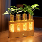 Lightalent Rechargeable Plant Propagation Station, LED Hydroponic Terrarium by LIGHTALENT
