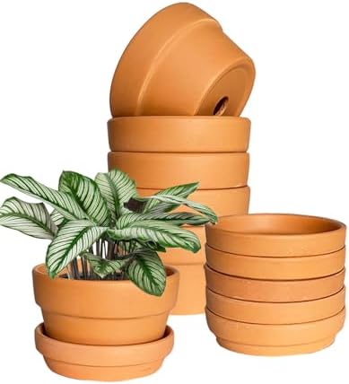 5.1 Inch Shallow Terracotta Plant Pots - 6 Pack Medium Clay Flowerpot with Drainage Hole, Terra Cotta Succulent Pot for Indoor Outdoor Plants by Unknown