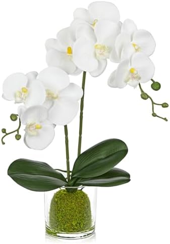 White Orchids Artificial Flowers 16.1" Faux Orchids Plant in Pot Fake Flower Arrangements with Glass Vases Small White Centerpieces for Kitchen Dining Room Tables Bathroom Nightstand Shelf Desk Decor by Oairse
