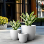 Kante Set of 3 White Concrete Bowl Round Planters for Modern Home - Image 4