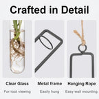 METALLIXITY Hanging Clear Glass Hydroponic Plant Propagation Tube Vase 2Pcs - Image 3