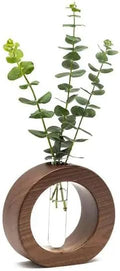 Ancient Shoppee Wooden Glass Test Tube Home Decor Planter Modern Flower Vase with Wood Stand Plant Propagation (4 Pieces) by Unknown