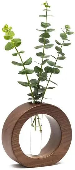 Ancient Shoppee Wooden Glass Test Tube Home Decor Planter Modern Flower Vase with Wood Stand Plant Propagation (4 Pieces) by Unknown