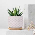Timur in Blue Background Ceramic Planter Geometric Modern Planters for Indoor Plants with Drainage Holes and Saucers Pot for Home Desktop Office Windowsill - Image 7
