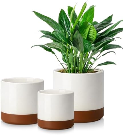vancasso 6"+8"+10" Ceramic Pot for Plants, Large Outdoor Indoor Planter Pots with Drainage Holes, Set of 3, Khaki by vancasso