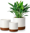 vancasso 6"+8"+10" Ceramic Pot for Plants, Large Outdoor Indoor Planter Pots with Drainage Holes, Set of 3, Khaki by vancasso