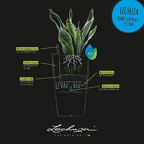 Lechuza CILINDRO Cottage 23 Granite, Self-Watering Tall Planter, D9.1 H16.1 in - Image 5
