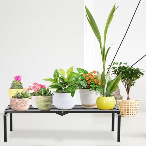 1 Tier Metal Plant Stand Indoor Outdoor, Potted Multiple Flower Pot Holder Rack Plant Shelf, Heavy Duty Planter Display Shelving for Patio Balcony Garden Living Room Decorative (Black) - Image 5