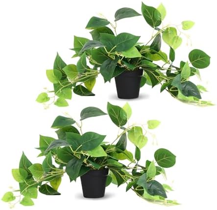 Tiita Artificial Pothos Plants in Pots, 2 Pack for Desk and Shelf Decor by TiitaHome