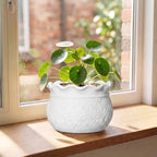 Ceramic Flower Pots, 6 Inch Plant Pot for Indoor Plants, White - Image 3