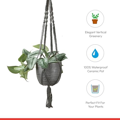 Scheurich Corteza Sky Pimienta Ceramic 6.1" Hanging Planter – with 35.4" Macramé Hanger - Waterproof - Boho Decorative Hanging Basket for Indoor Plants, Succulents&Flowers - Made in Germany - 0.7 gl - Image 3