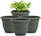 Bloem Ariana 8" Plastic Self-Watering Planter, Basil, 4-Pack by Bloem