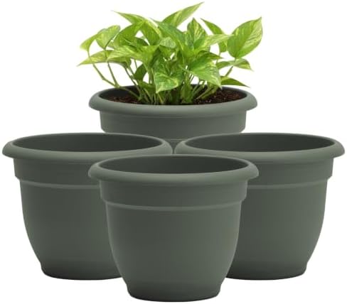 Bloem Ariana 8" Plastic Self-Watering Planter, Basil, 4-Pack by Bloem