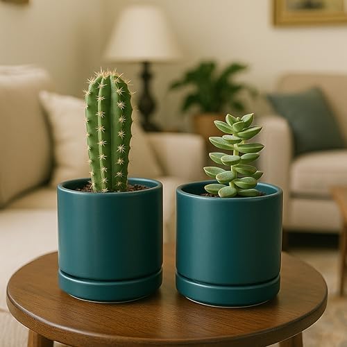 D'vine Dev 4-Pack Ceramic Pots with Saucers, Teal, 4.7 in, 94-X-B-9 - Image 6