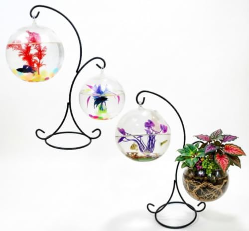 14.2 Inches Tall Iron Ornament Display Stand with Double Hooks, 【6 Pack】, Black Pothook Stand, Tabletop Ornament Hanger for Hanging Air Plants, Glass Terrariums, Planters, Pictures & Globes, Sturdy Balanced Tabletop Decor for Home Office Party Wedding ... - Image 7