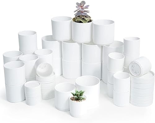 D'vine Dev 36-Pack Plastic Planter Pots, 2/2.5/3 in, White, 74-T-A by DvineDevPlanterPotsandStand
