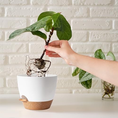 White Self Watering Pots with Drainage Planting Pot for HousePlants Plastic Flower Pots Outdoor Plant Pots Gift Idea Decorative Flower Pots Draining Pots for Indoor Plants - Image 6