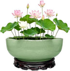 MUZHI Lotus Flower Bowl Planter for Water Lily Seeds 8", Elegant Hole-Free Ice Crack Hydroponic Pink Lotus Plant Bowl Pot with Stand by MUZHI