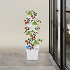 Hydroponics Tower Indoor Growing System,7-Tier 35-Hole Vertical Garden Planter,Herb Garden Kit with 2.64Gal Water Tank,Automatic Water Circulation Pump for Gardening Lover (White-A) - Image 4