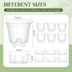 Wonderjune Self Watering Planter, 7.09'', Clear, 6 Pcs - Image 2