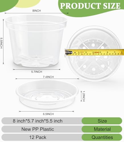 RooTrimmer 12 Pack 8 Inch Clear Plant Pots with Saucers, Transparent Plastic Nursery Pots with Drainage Hole, Sturdy Garden Planter Pots, Planting Starter Pots for Indoor Outdoor - Image 2