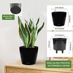 Dexceder 9x8 Self Watering Planter (Black High Gloss) - Image 3