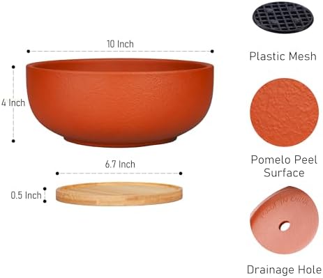 SQOWL 10 Inch Large Terracotta Planter Pot,Clay Succulent Bonsai Planter with Drainage Hole and Bamboo Saucer for Indoor Plants - Image 2