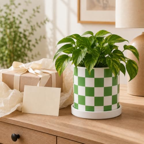 Checkered Ceramic Planter Pot with Drainage Hole and Saucer, Black and White Planters Decor,Indoor Cylinder Round Planter Pot (Green, Medium) - Image 7