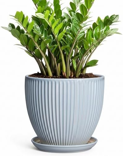 10 Inch Pots for Plants, Ceramic Plant Pots with Saucer, Light Blue by Wliror