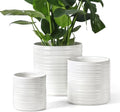 Ceramic Planter Set 6/8/10 Inch, Modern Striped Planter Set Indoor Outdoor by FayoulasGarden