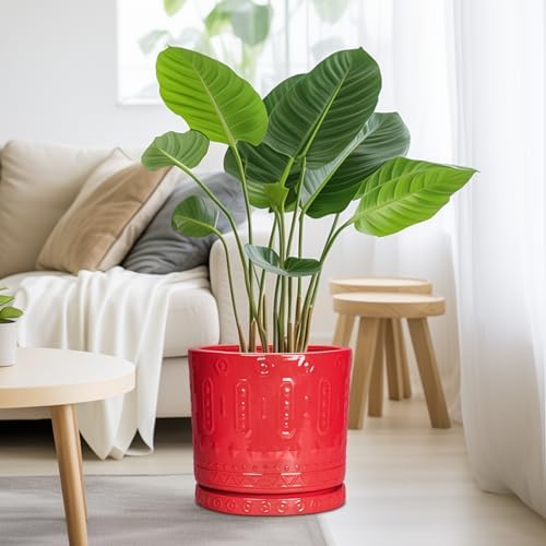 Eightpot 10 Inch Plant Pot, Ceramic Pots for Plants for Indoor Outdoor Plants, Round Planter with Drainage Hole and Tray, Boho Decorative Flower Pots, Front Porch Decor, Gifts for Plant Lovers, Red - Image 4