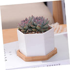 BESPORTBLE 2 Sets White Ceramic Hexagonal Succulent Pots with Bamboo Tray - Image 3