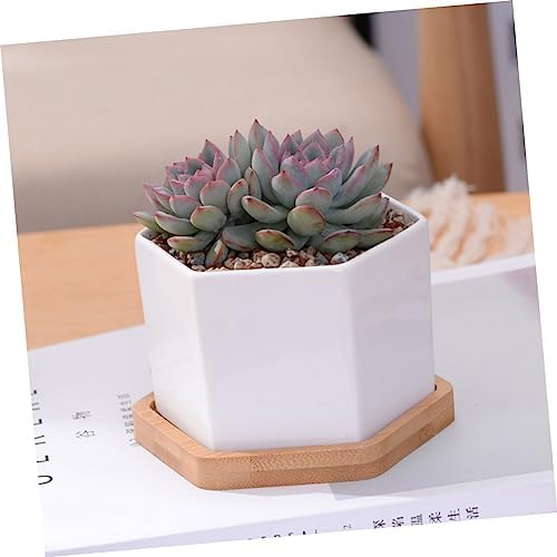 BESPORTBLE 2 Sets White Ceramic Hexagonal Succulent Pots with Bamboo Tray - Image 3
