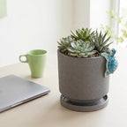 Nihow Ceramic Plant Pot with Cute Resin Figure for Idoor Plants, 5.75 Inch - Image 5