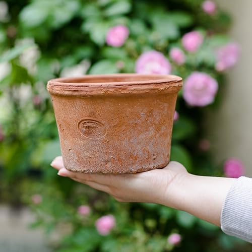 2/3 Pack Terracotta Planter, Breathable Clay Flower Pots, Red Clay Terracotta Plant Pots with Drainage, Indoor Outdoor Terracotta Flower Pot for Home Garden Plant Planting/20Cm - Image 3
