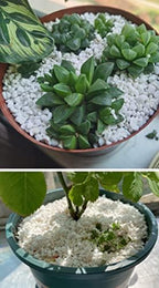 30QT Organic Perlite Horticultural Soil Amendment for Plants and Enhanced Drainage Enhanced - Image 7