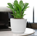 UOUZ 12/10/9 Large Plant Pots, Plastic Planters with Drainage Holes and Saucers for Indoor Outdoor Plants Flowers, White - Image 7