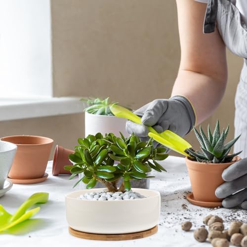 White Ceramic Succulent Pot Planter Set, Round Bamboo Tray - Image 4