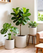 homenote 13.2/10.5/8.5 Inch Large Plastic Flower Pots with Drainage (3 Pcs) - Image 4