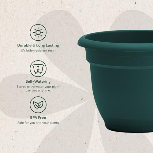 Bloem Ariana 12" Plastic Self-Watering Planter, Charleston Green, 2-Pack - Image 3