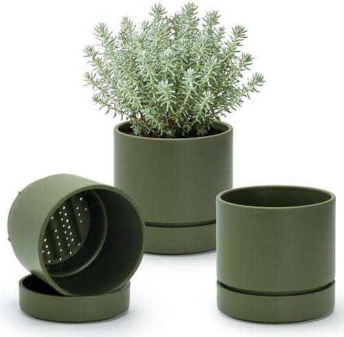 Phoenix Vine 6 Inch Planter Pot with Drainage Hole & Saucer, Deep Water Catch Tray, Straight Cylindrical Round Pot for Plants, Olive, Pack of 3, 23-D-S-3 by Phoenix+Vine