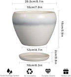 Ceramicfor Ceramic Planter - 8 Inch Plant Pot with Drainage Hole and Saucer, Glaze Round Flower Pot for Home Garden Patio Office, White - Image 3
