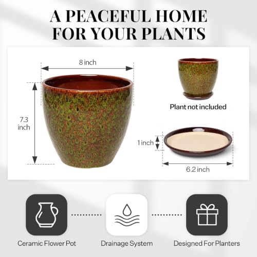 8 Inch Ceramic Planter with Drainage Hole Saucer(Spotted Green) - Image 5