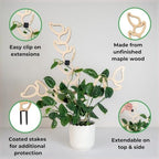 Treleaf Kora Extendable Wooden Plant Trellis Extension Kit (2 Extensions) – Modular Plant Support Add-On for Climbing Houseplants, Moss Pole Alternative for Monstera & Indoor Plants - Image 3