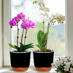 QCQHDU 2 Pack 7.2 Inch Orchid Pots with Holes for Repotting, Double-Layer and Self Watering Orchid Pot with Good Air Circulation - Image 6