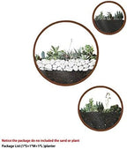 3 Pack Set Wall Planters,Modern Round Glass Wall Planter Succulent Planter Circle Iron Hanging Planter Vase for Herb,Small Cactus Perfect for Balcony, Room and Patio Decor (Coffee) - Image 5