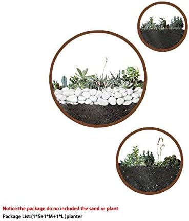3 Pack Set Wall Planters,Modern Round Glass Wall Planter Succulent Planter Circle Iron Hanging Planter Vase for Herb,Small Cactus Perfect for Balcony, Room and Patio Decor (Coffee) - Image 5